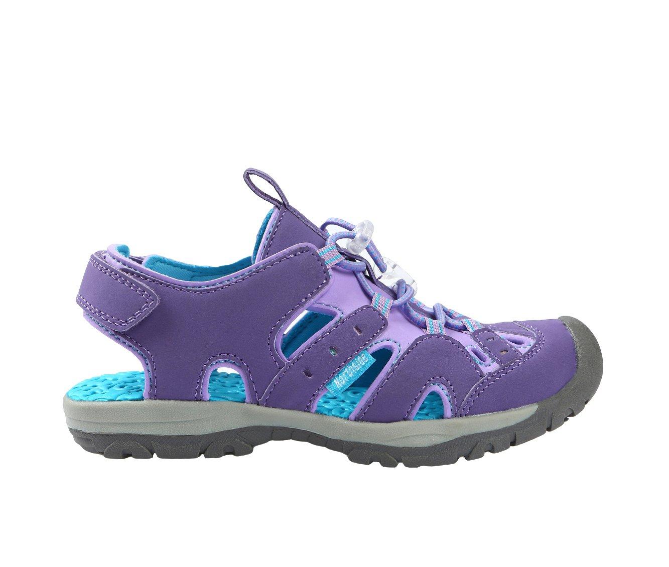 Purple/Blue